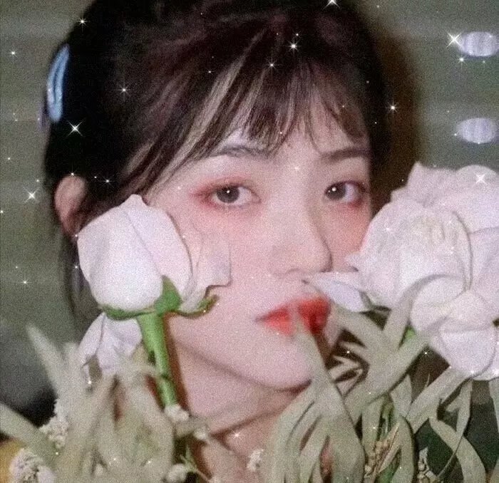 弥天之谎 封面